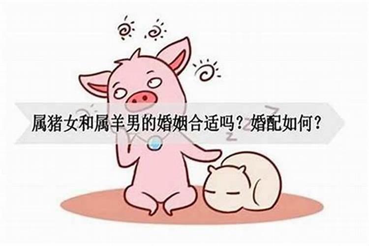 95年的猪婚姻如何