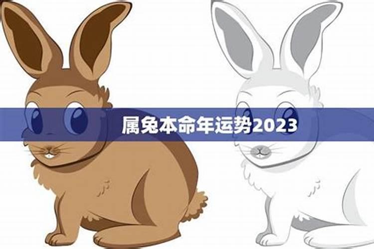 2020年属兔本命年运势