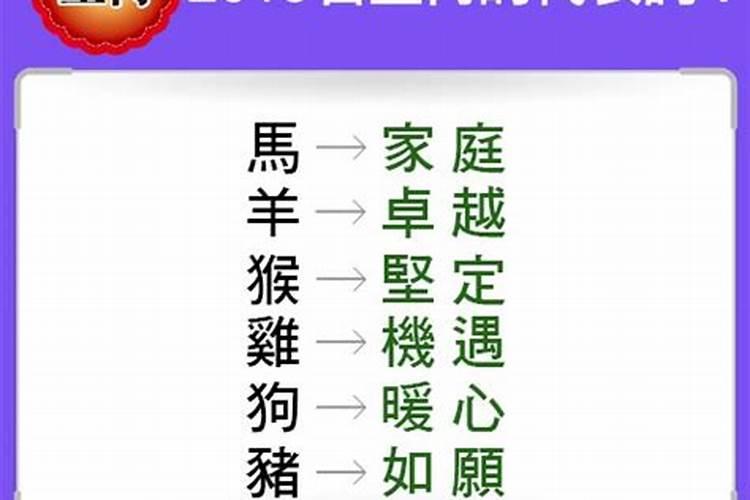 界字可解什么生肖和意思