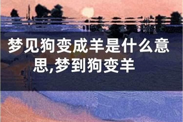 做梦梦到狗和羊是什么意思