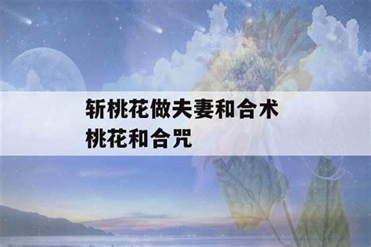 己丑天干地支五行属什么