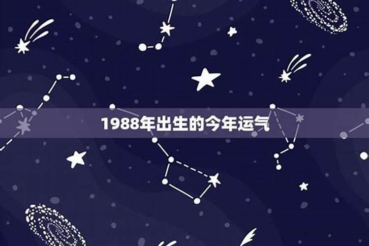 1988年今年运势如何