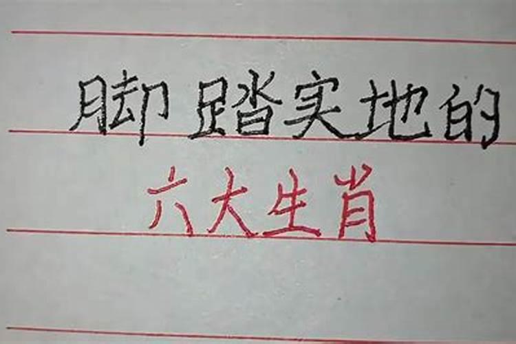 脚踏实地的什么生肖应该是