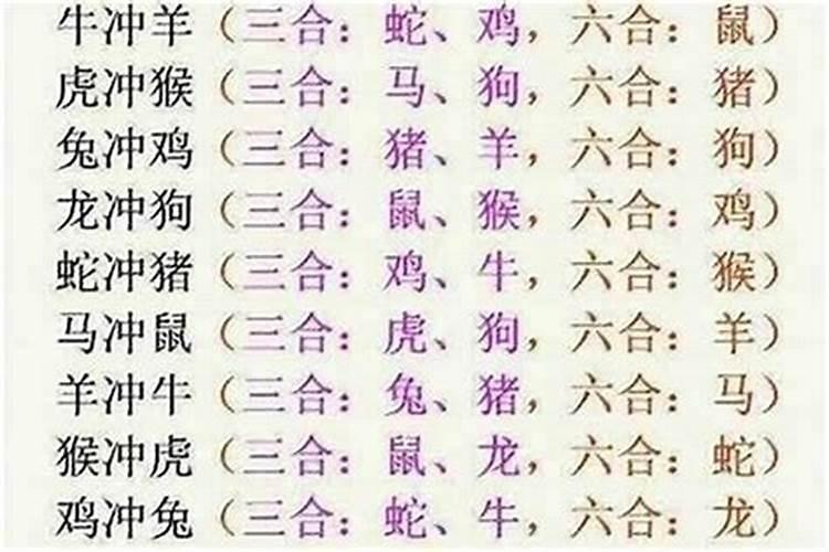 八字酉丑属什么合