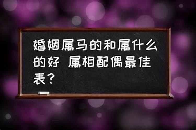 属马的和属什么配最好