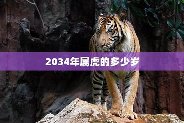 2032年属虎的多大