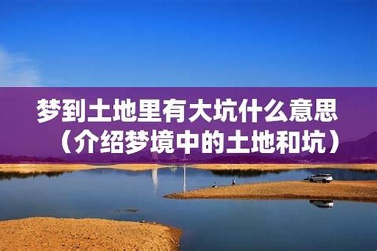 属猪的2021年犯太岁吗