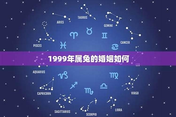 1999年属兔今年的运势和婚姻如何