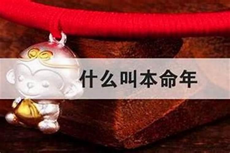 2020年清明祭扫接待工作总结汇报怎么写