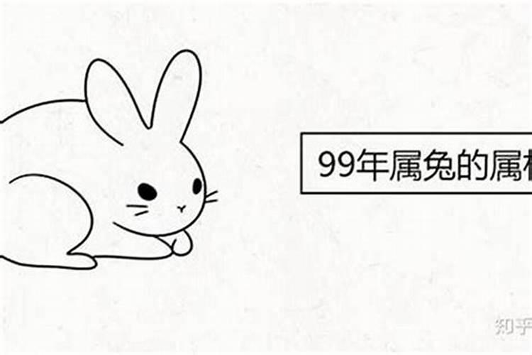 99年属兔人发展