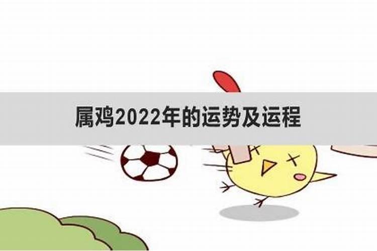 93年属鸡2022年的运势