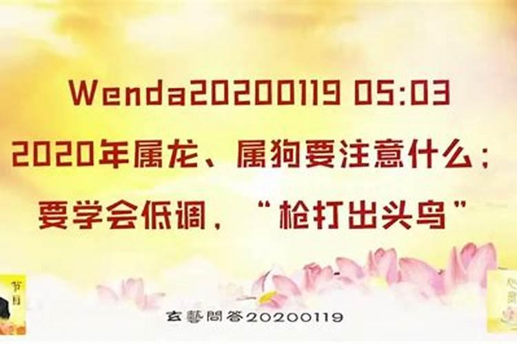 2020年属狗的注意什么