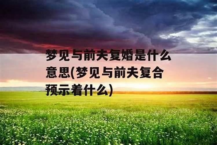 属兔的在事业上和属什么合