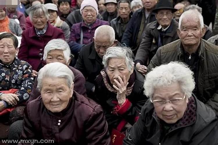 梦见豹子扑向自己是什么预兆解梦女