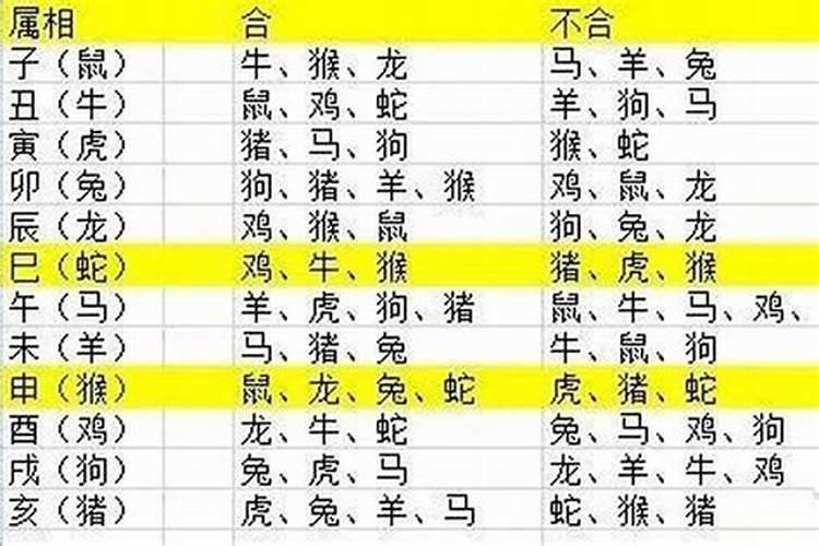 明年24岁属什么生肖的