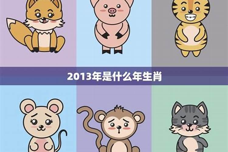 2013年属什么生肖今年多少岁