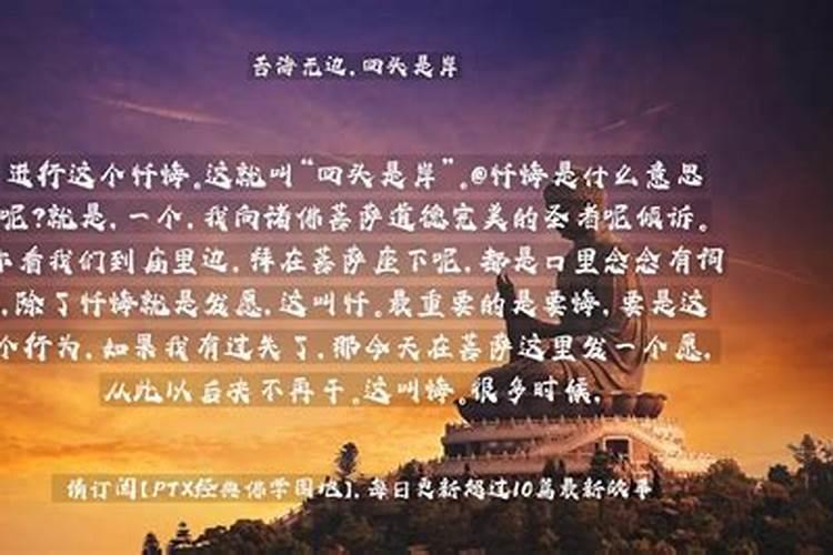 苦海无边,回头是岸指什么生肖