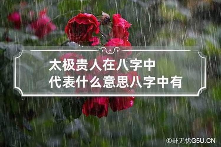 八字太极什么意思