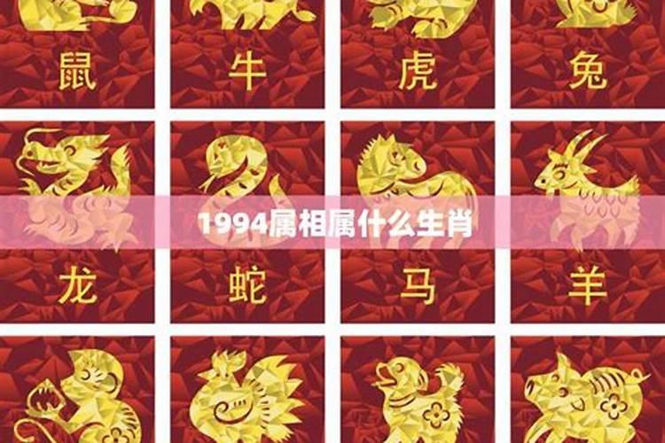 1994年出生的属什么生肖多大