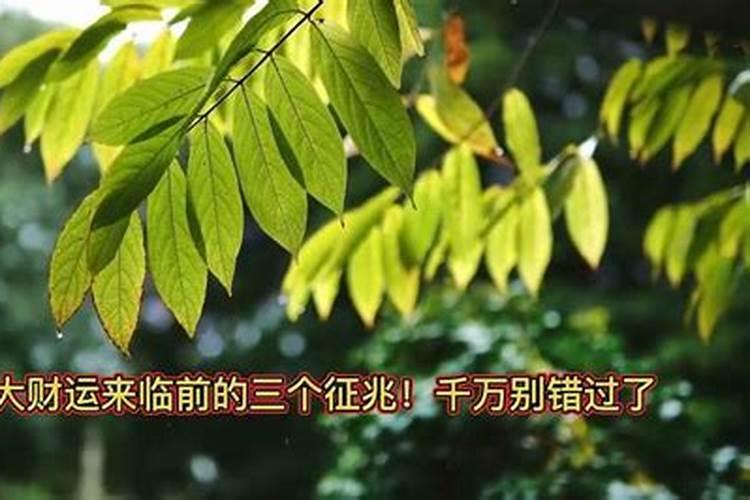 八字批算有什么用