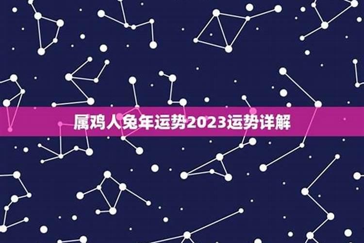 鸡在虎年运势2022运势详解