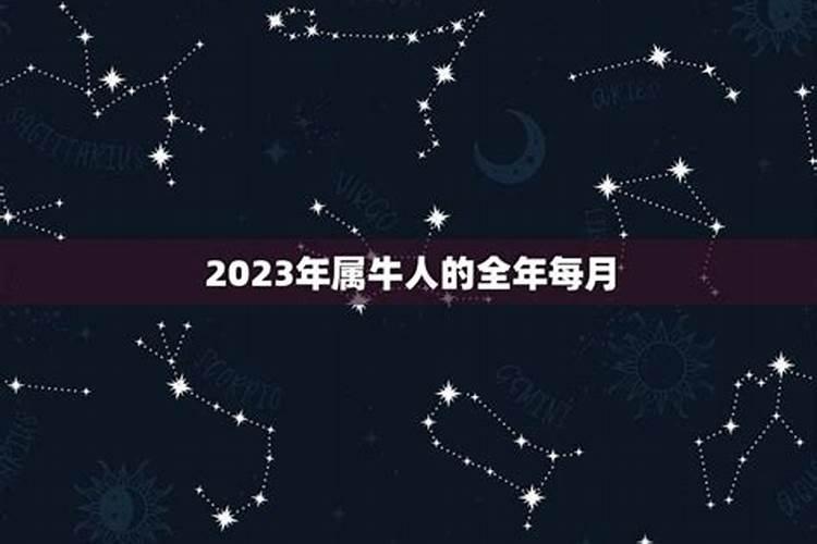 1997属牛2023年运势婚姻