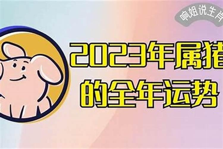 属猪六月运势2021