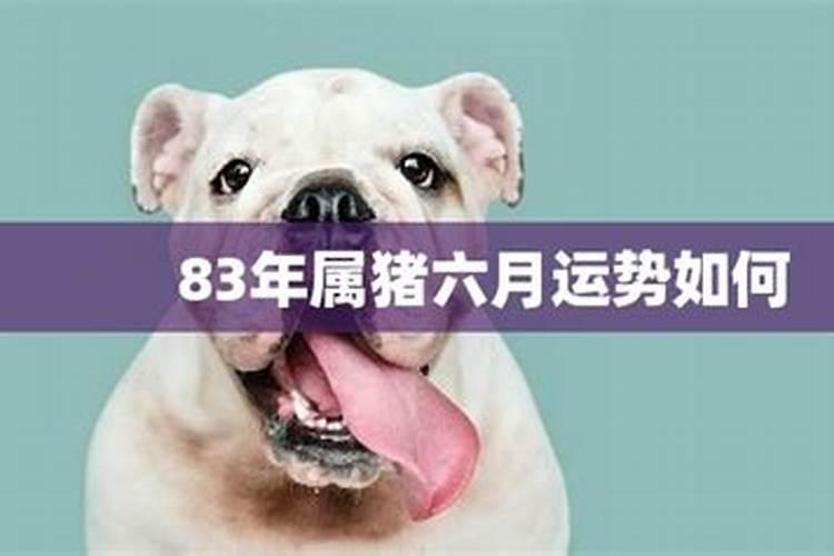 生肖猪六月份运势