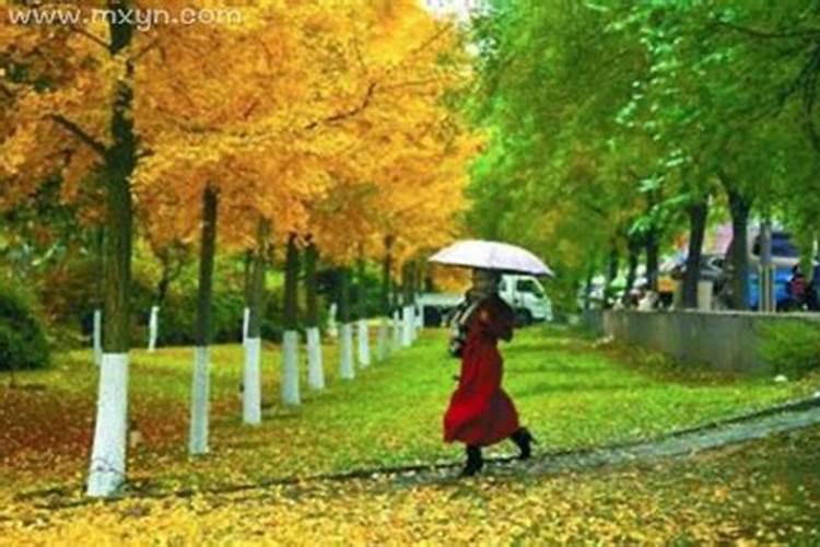 单身女人梦见下大雨