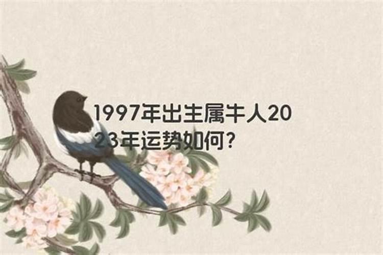 1997年出生属牛运势