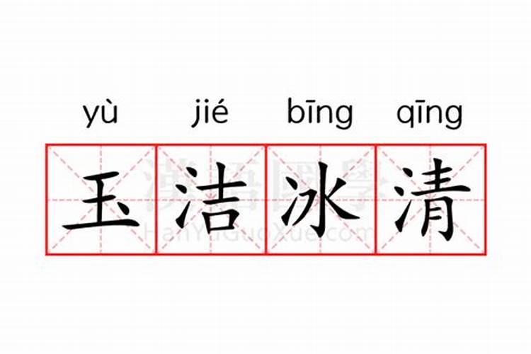 玉洁冰清白如雪指什么生肖