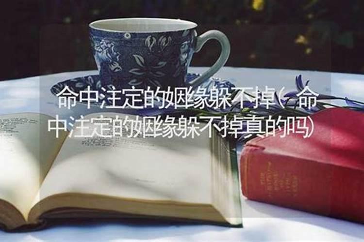 算命师说姻缘天注定