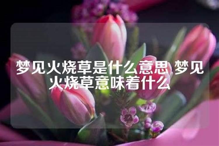 做梦梦见火烧树