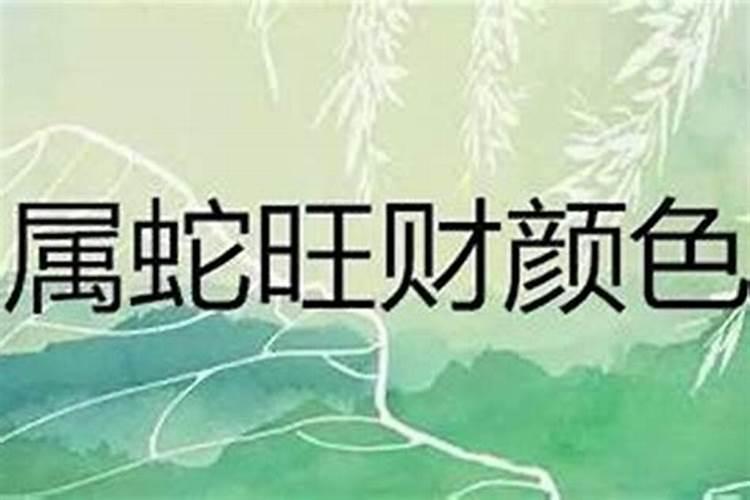 明年生肖蛇财运怎么样