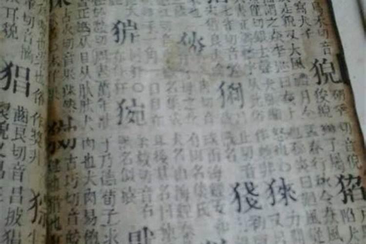 康熙字典中五行属木的字有哪些字