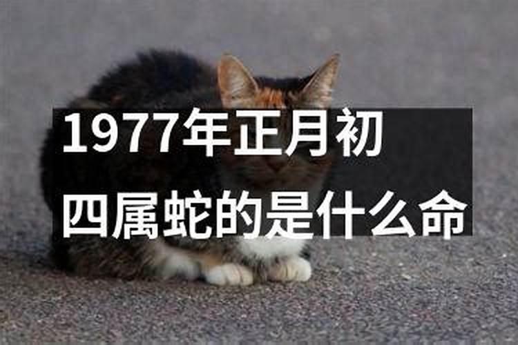 1977年3月12日是什么星座