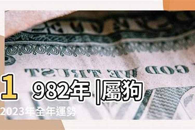 1982年生人在2021年的财运