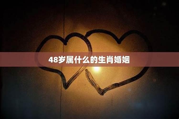 今年48岁属什么的呢