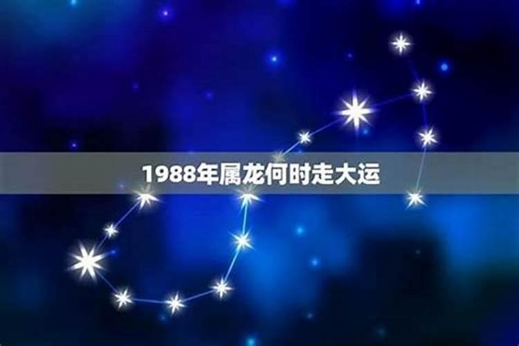 属龙的2022年的财运