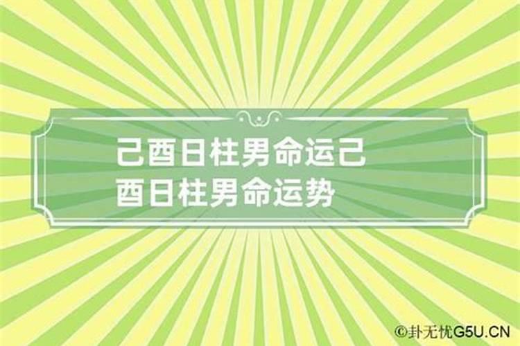 八字巳酉合是代表什么意思