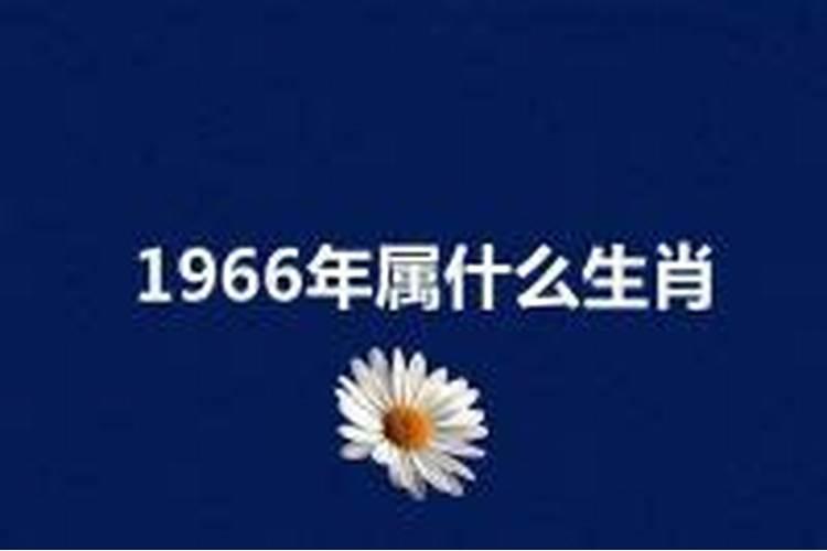 1966年是属什么的什么生肖