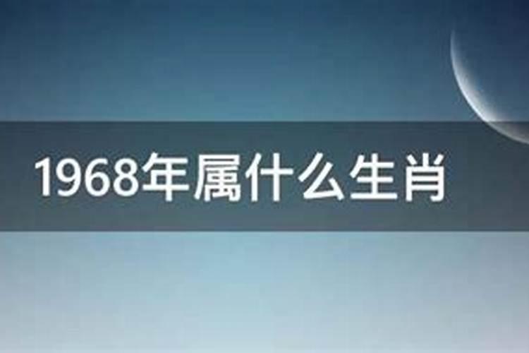 1968年属什么的属性