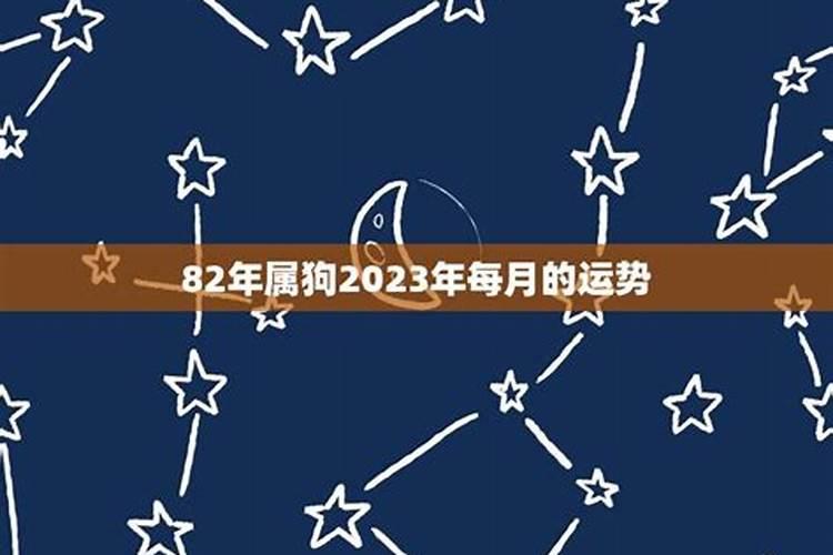 82年2023年的运势及运程