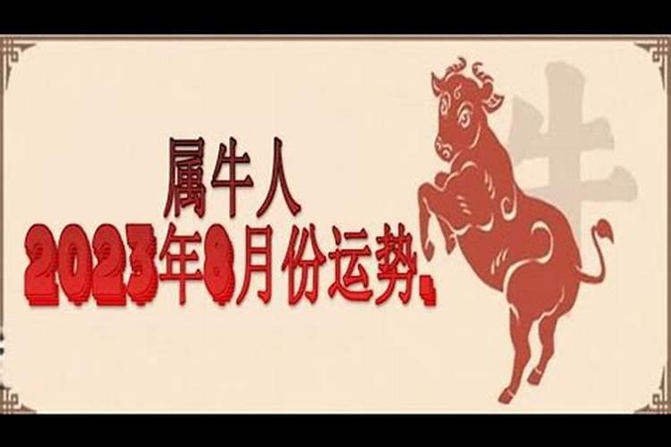 命里有情人的八字