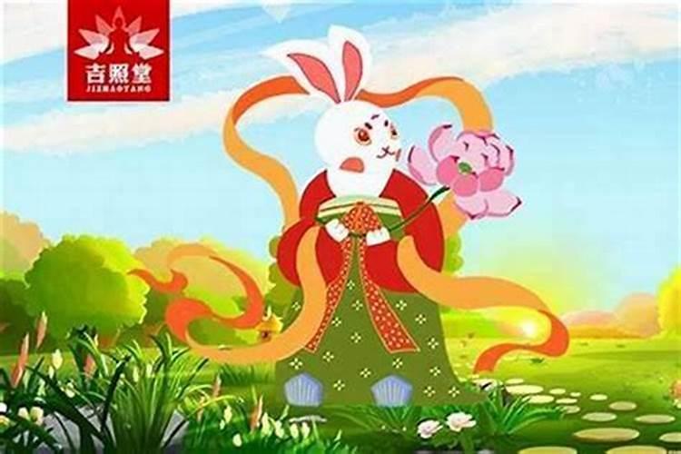 今年属兔的吉祥色