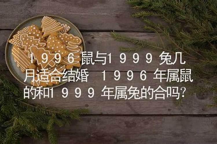 1996年的鼠和1999年的兔相配吗