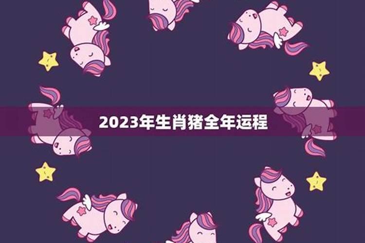 2023年猪生肖的全年运势如何看