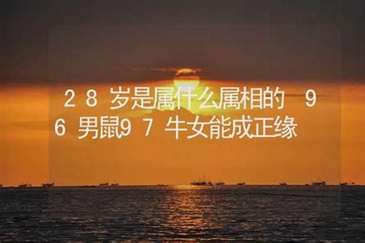 28岁属什么生肖的