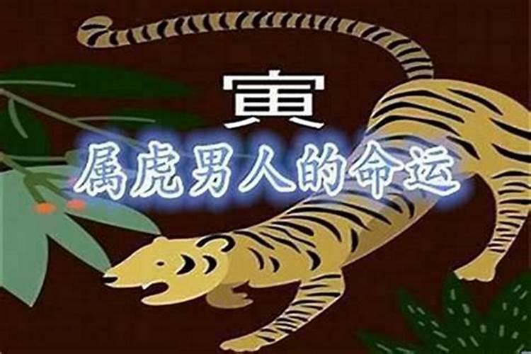 1998年属虎五行缺什么属性