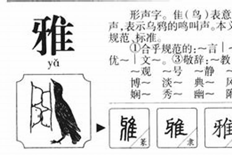 雅字在五行属性是什么